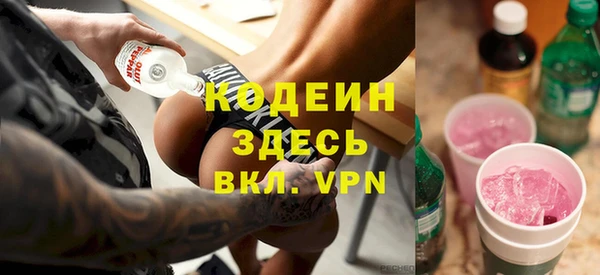 стаф Новодвинск