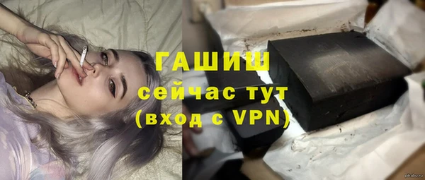 стаф Новодвинск