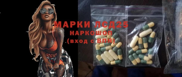 стаф Новодвинск