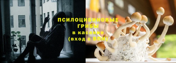 гашиш Новозыбков