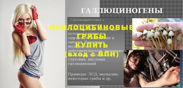 стаф Новодвинск